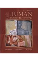 Hole's Human Anatomy & Physiology