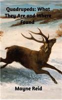 Quadrupeds: What They Are and Where Found