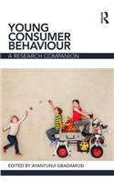 Young Consumer Behaviour: A Research Companion