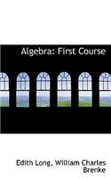 Algebra: First Course(English)