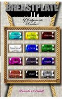 Breastplate of Judgment