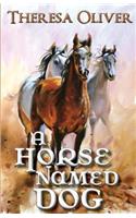 Horse Named Dog