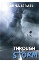 Through the Storm