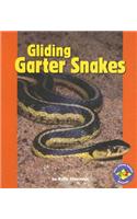 Gliding Garter Snakes: (Pull Ahead Books (Paperback))