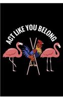 Act Like You Belong