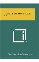Texas Under Many Flags, V3: (English)