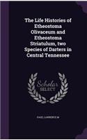 The Life Histories of Etheostoma Olivaceum and Etheostoma Striatulum, two Species of Darters in Central Tennessee