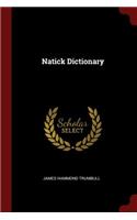 Natick Dictionary