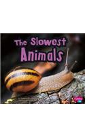 The Slowest Animals