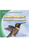 Colibríes Pequeñitos / Itty Bitty Hummingbirds: (Animales Pequeñitos / Itty Bitty Animals)