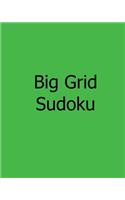 Big Grid Sudoku: Large Print Level 1 Sudoku Puzzles