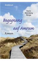 Begegnung Auf Amrum - Grossdruck: (German)
