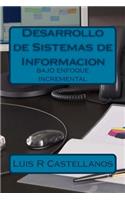 Desarrollo de Sistemas de Informacion