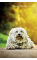 Havanese September Notebook Havanese Record, Log, Diary, Special Memories, to Do List, Academic Notepad, Scrapbook & More