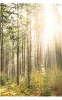 Sunlight in an Dreamy Forest Journal: 150 Page Lined Notebook/Diary