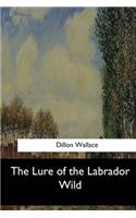 Lure of the Labrador Wild