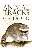 Animal Tracks of Ontario