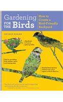 Gardening for the Birds: How to Create a Bird-Friendly Backyard