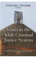 Youth in the Adult Criminal Justice System