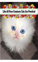 Like All Pure Creatures Cats Are Practical