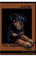 Junior, the Seigneur !