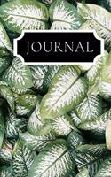 Journal