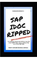 SAP IDOC Ripped