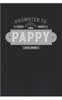 Promoted To Super Quality Pappy Est. 2020: Family life Grandpa Dad Men love marriage friendship parenting wedding divorce Memory dating Journal Blank Lined Note Book Gift