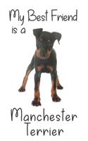 My best Friend is a Manchester Terrier