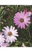 Notebook: Daisies Design Cover - Blank Journal / Sketch / Drawing Book - 8.5 X 11 Paper - Unlined Notebook / Journal - 100 Pages