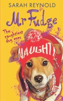 Mr Fudge