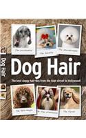 Dog Hair: The Best Doggy Hair-DOS for Fashion-Conscious Hounds!