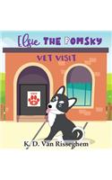 Elsie the Pomsky