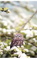 Owl Design Dot Grid Journal