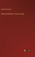 Weihnachtsblüten in Sitte und Sage