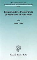 Risikoorientierte Datenprufung Bei Unscharfen Informationen