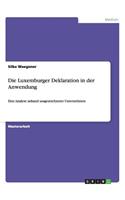 Luxemburger Deklaration in der Anwendung: Eine Analyse anhand ausgezeichneter Unternehmen