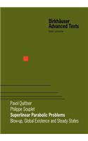 Superlinear Parabolic Problems: (English)