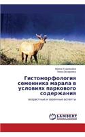 Gistomorfologiya Semennika Marala V Usloviyakh Parkovogo Soderzhaniya