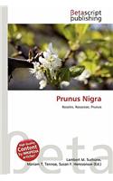 Prunus Nigra: (English)