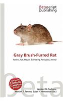 Gray Brush-Furred Rat: (English)