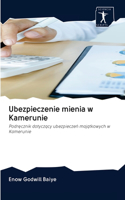 Ubezpieczenie mienia w Kamerunie
