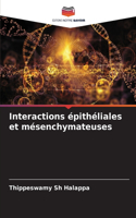 Interactions épithéliales et mésenchymateuses