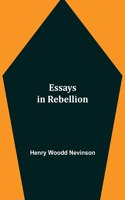 Essays in Rebellion