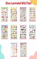 Complete Learning Chart Set of 10 for Kids : Alphabet, Fruits, Vegetables, Animals, Birds, Body Parts, Numbers, Hindi Varnmala, Shapes & Colours and Flowers â€“ Gloss Laminated English-Hindi Charts