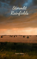 Stormlit Rainfields