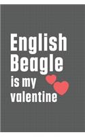 English Beagle is my valentine