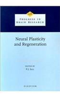 Neural Plasticity and Regeneration