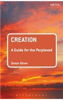 Creation: A Guide for the Perplexed