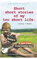 Short Short Stories of My Too Short Life